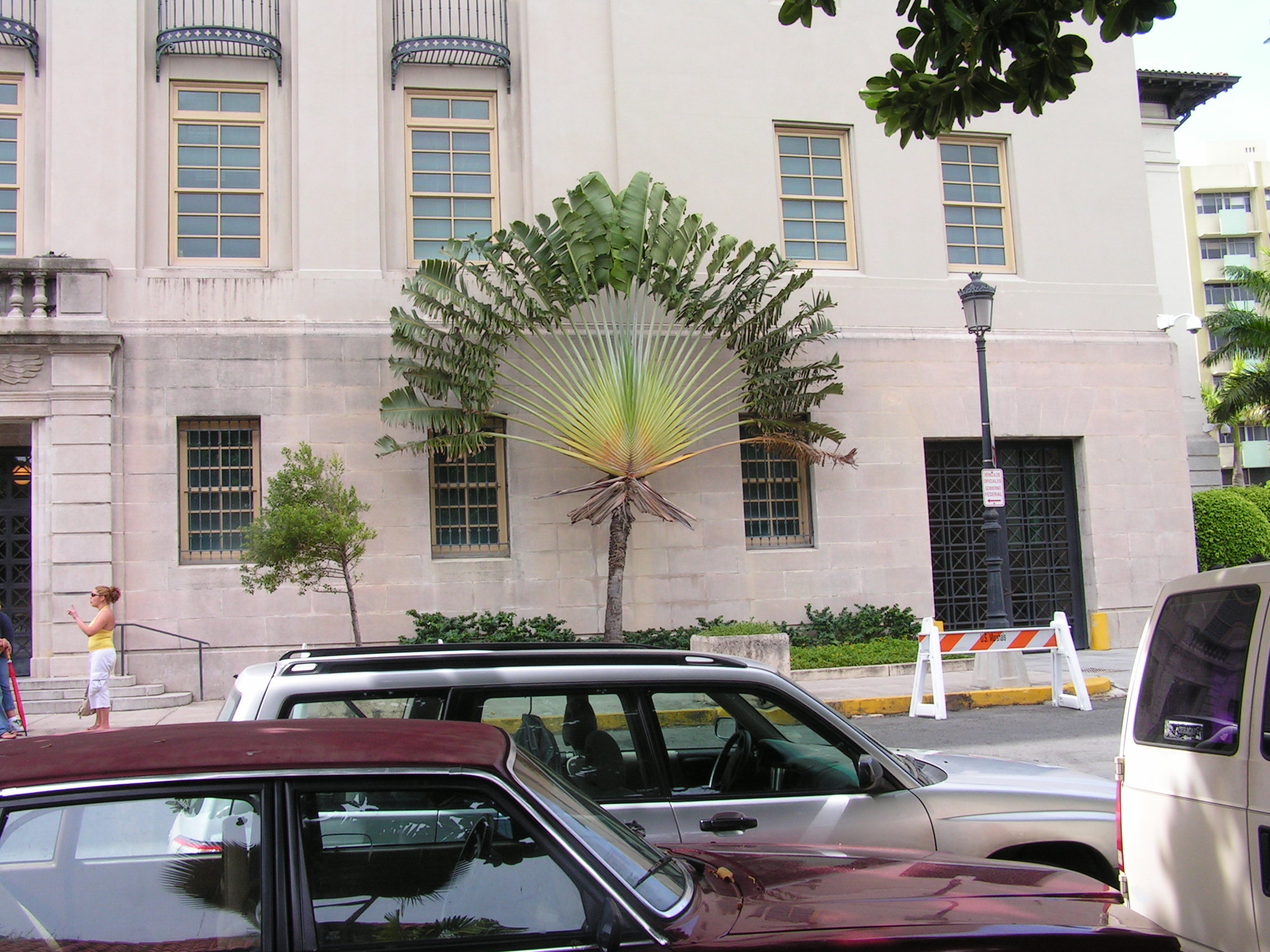 ./2005/Puerto Rico/Part 2/PICT0332.JPG